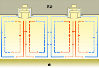 特徴